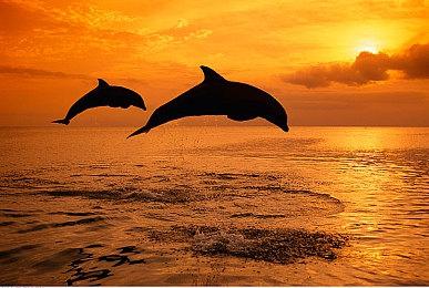 《天国：拯救2》显卡跑分 4090可原生4K＆最高画质60帧游玩